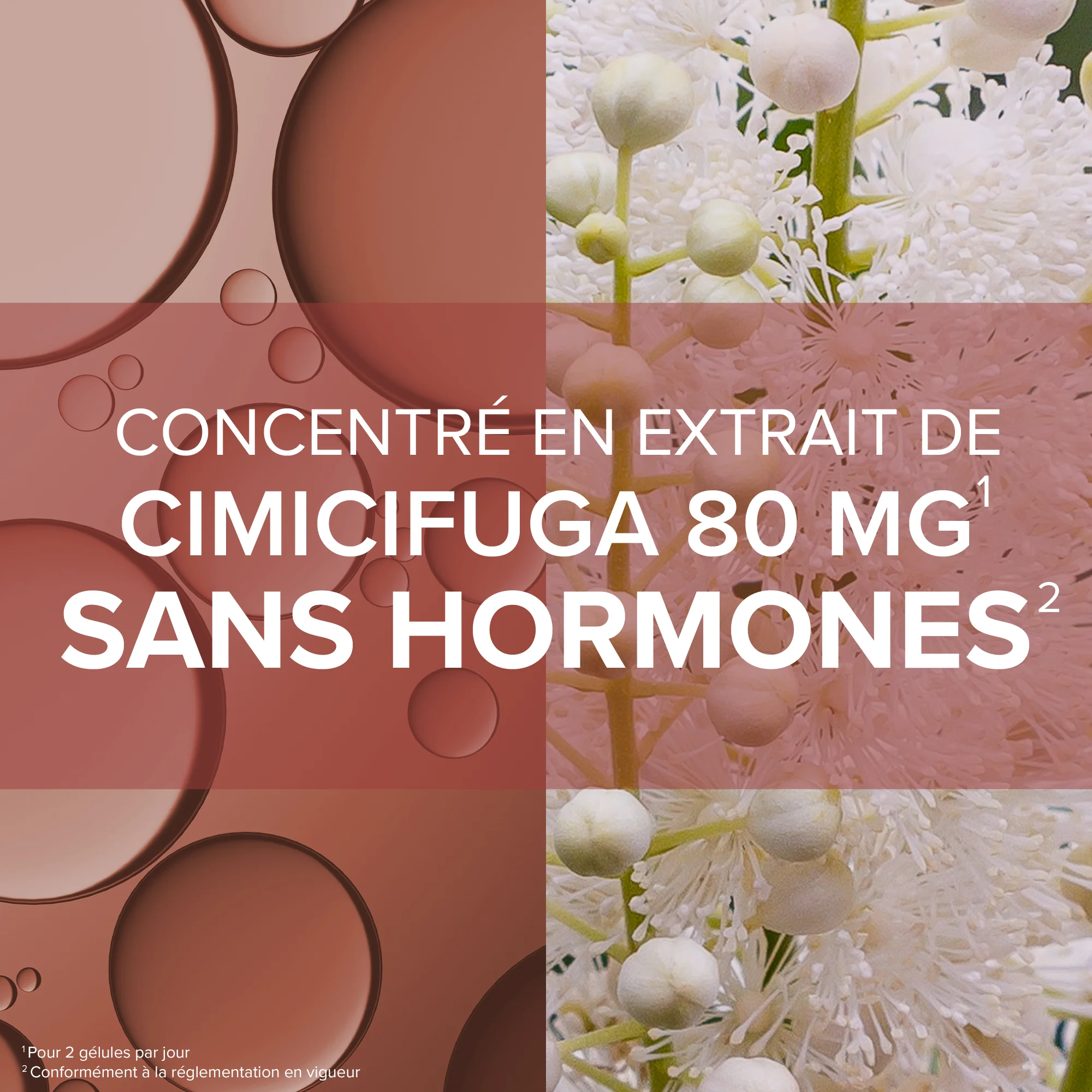 Arkogélules® Cimicifuga - Image 3