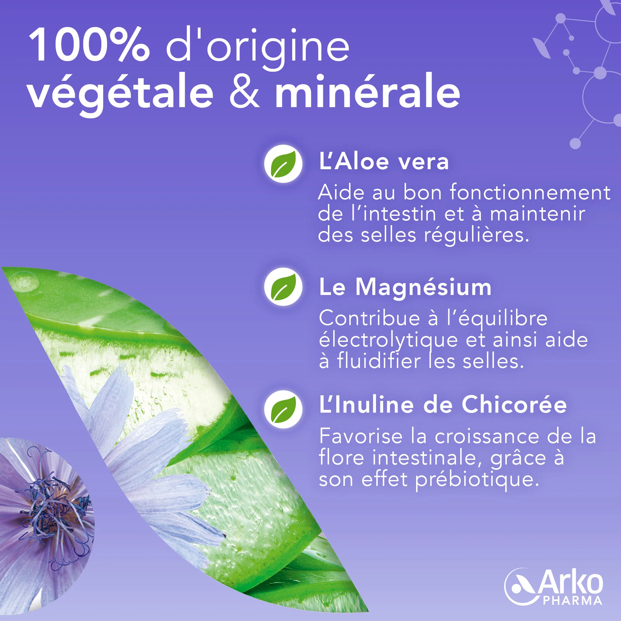 Arkogélules® Constipation occasionnelle - Image 4