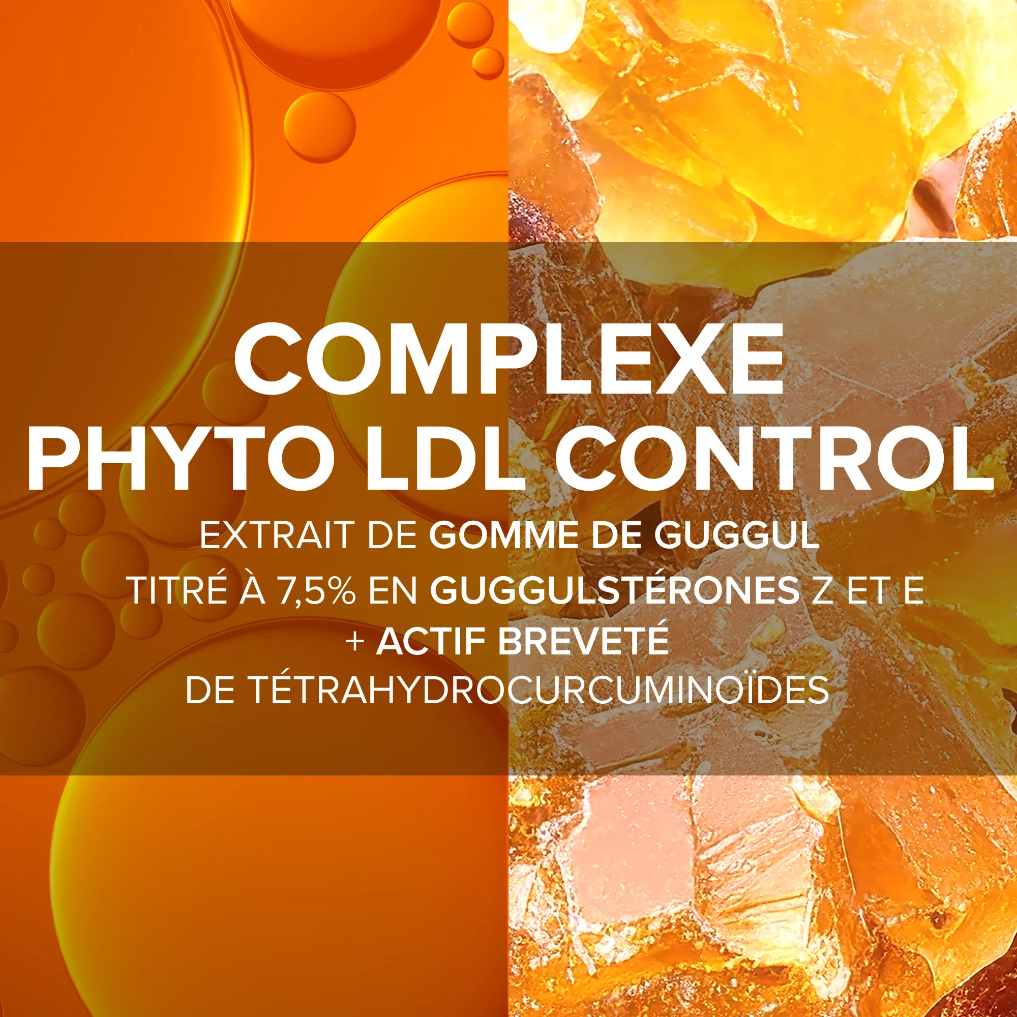 Arkogélules® Complexe Phyto LDL Control - Image 3
