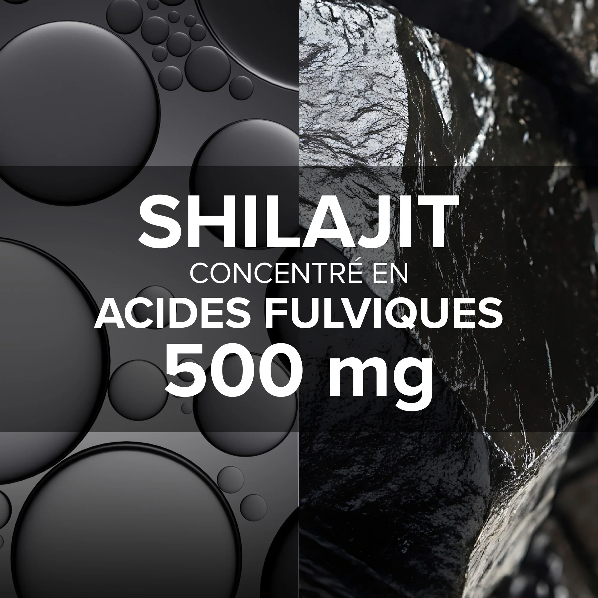 Arkogélules® Shilajit - Image 3