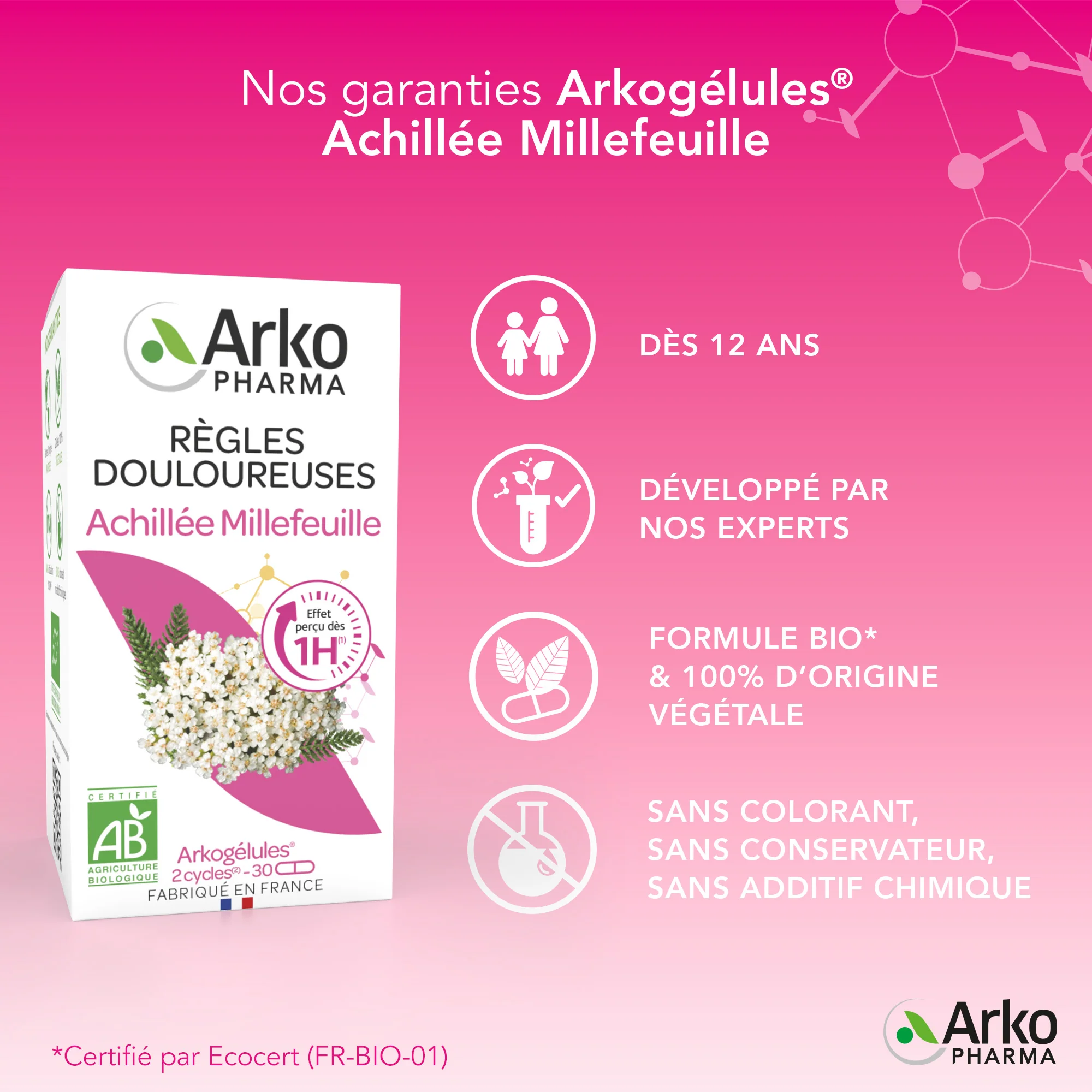 Arkogélules® BIO Achillée Millefeuille - Image 5