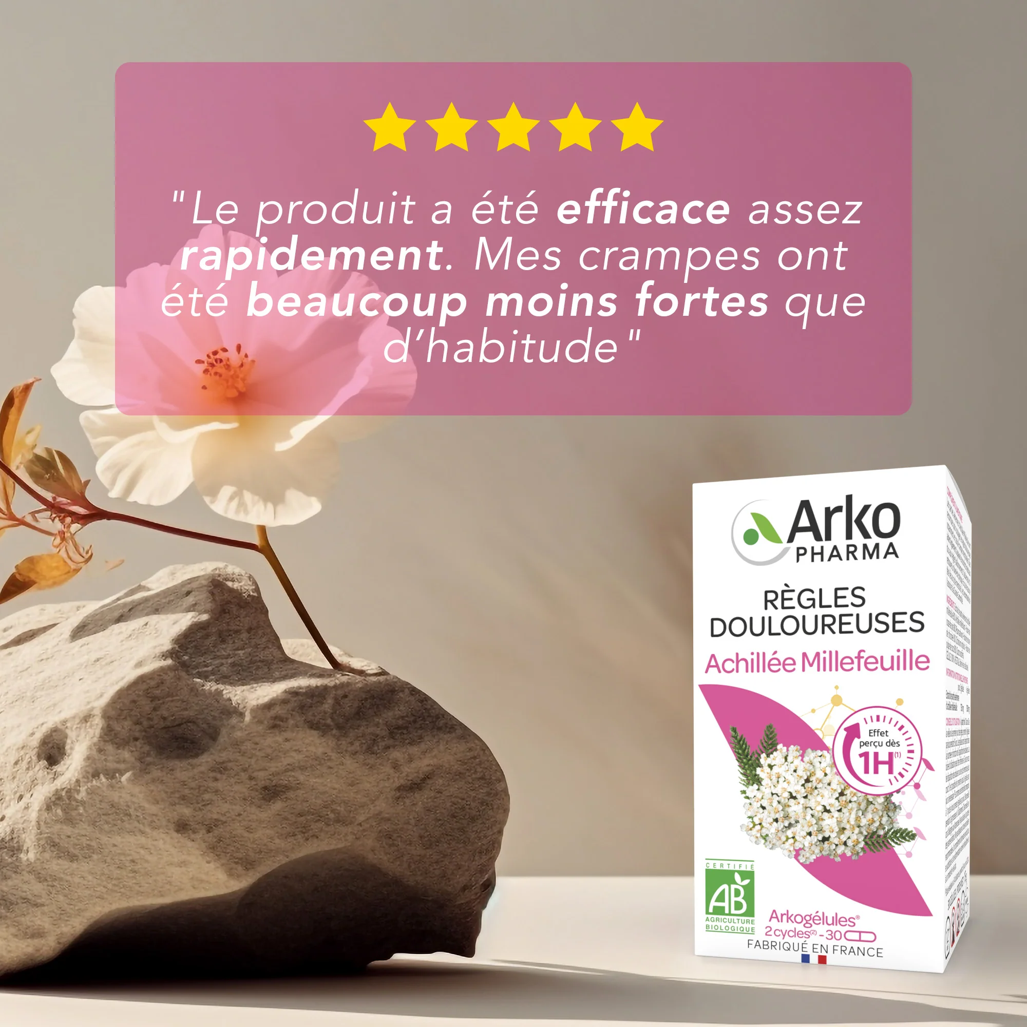 Arkogélules® BIO Achillée Millefeuille - Image 8