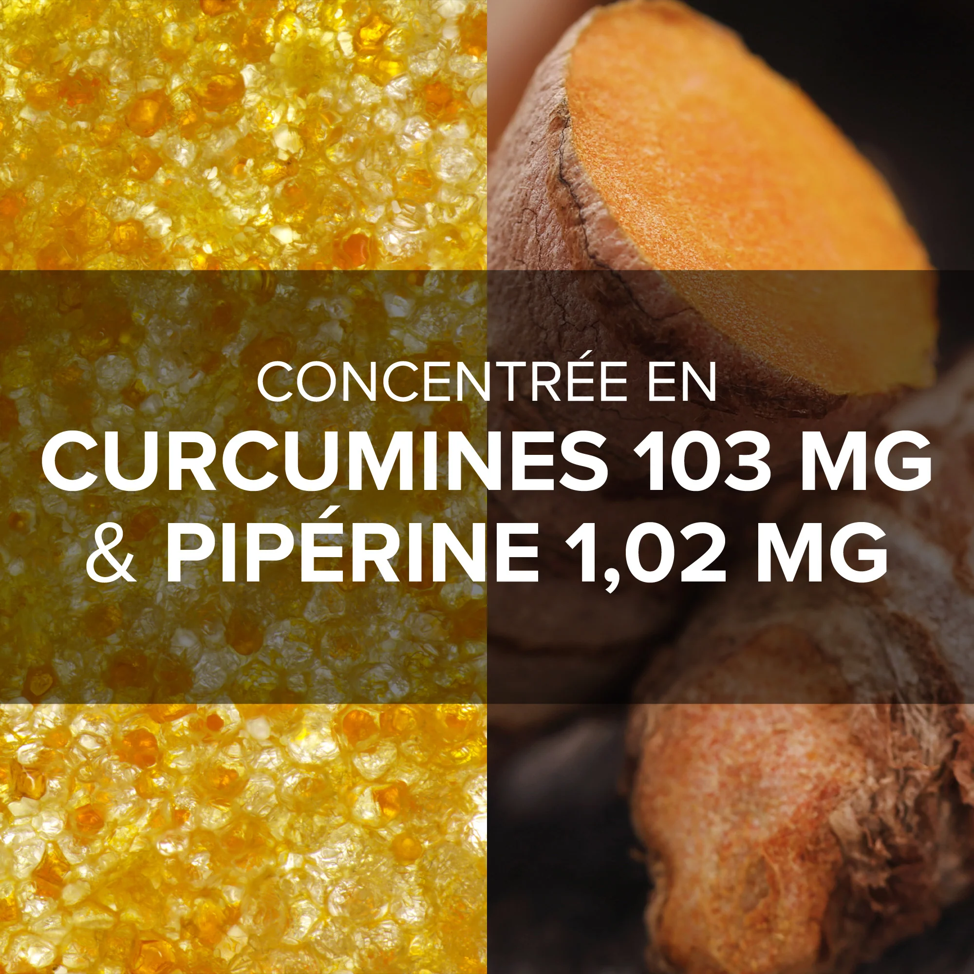 Arkogélules® Curcuma Pipérine - Image 3