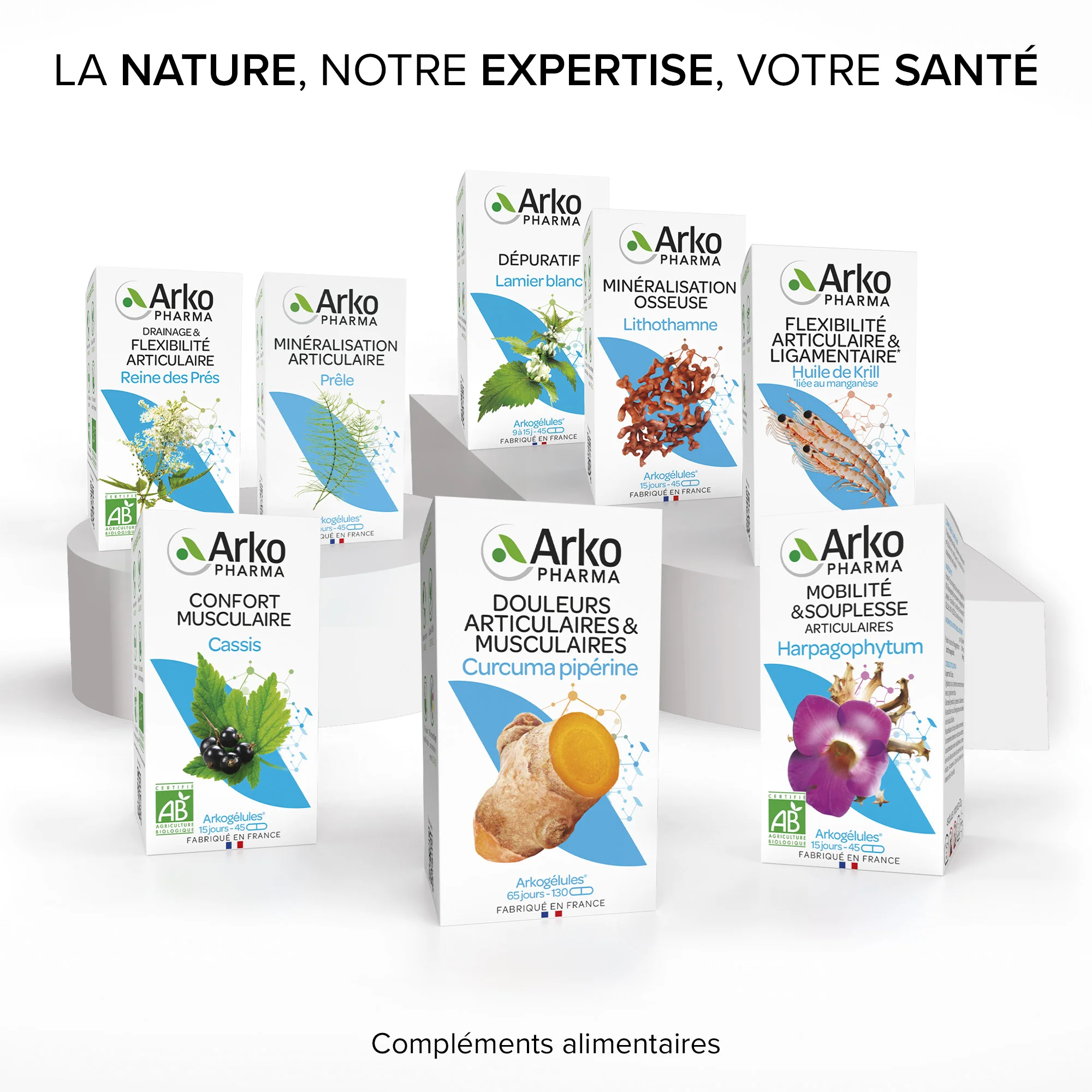 Arkogélules® Curcuma Pipérine - Image 7