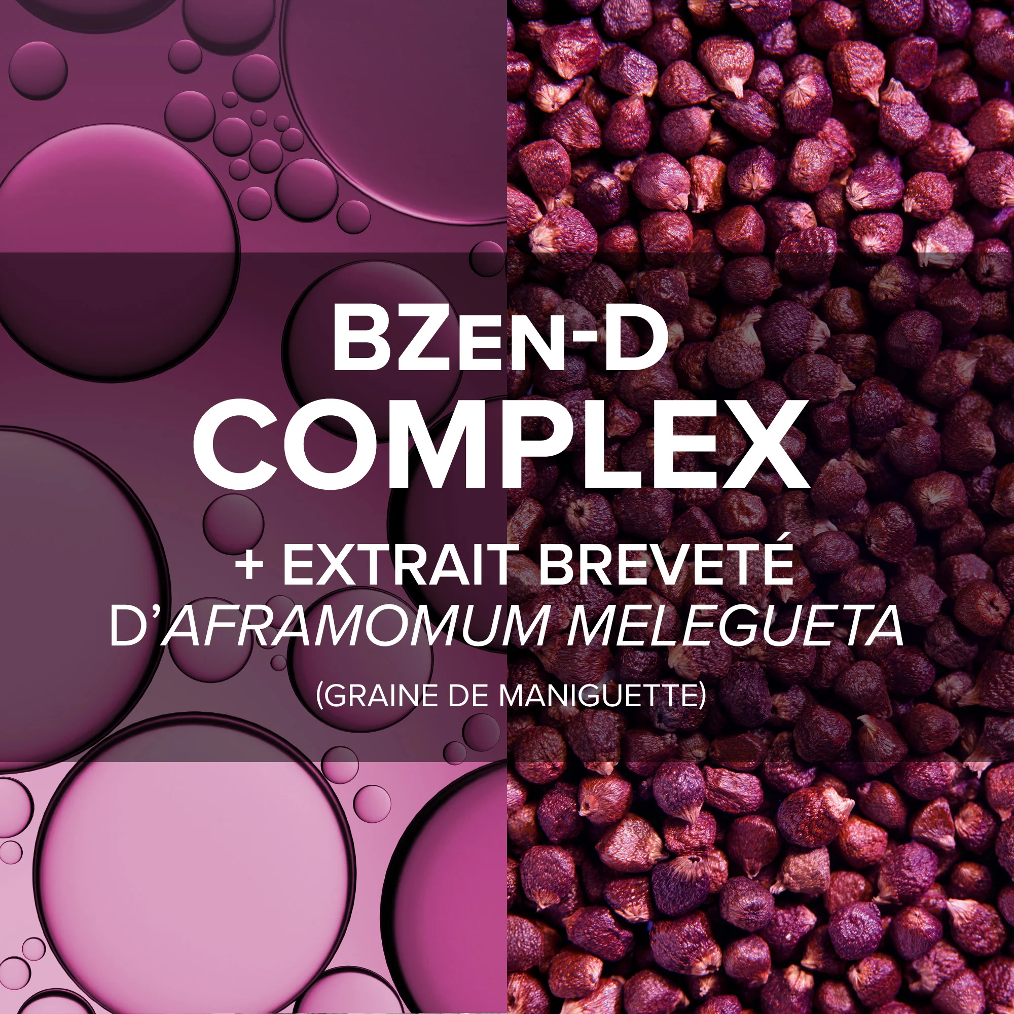 Arkorelax® Sommeil & Anxiété - Image 3