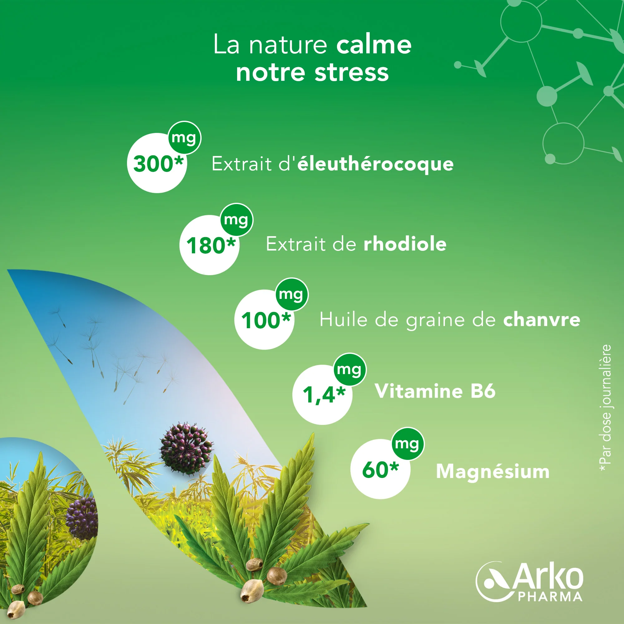 Arkorelax® Cannabis sativa - Image 3