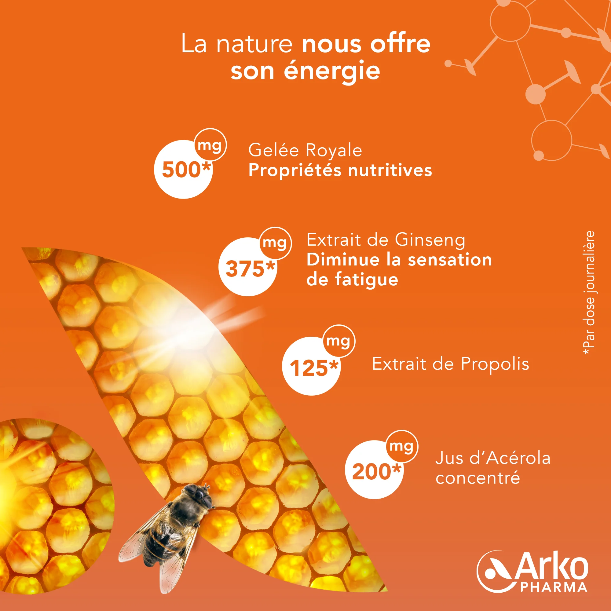 Arkoroyal® Dynergie BIO - Image 4