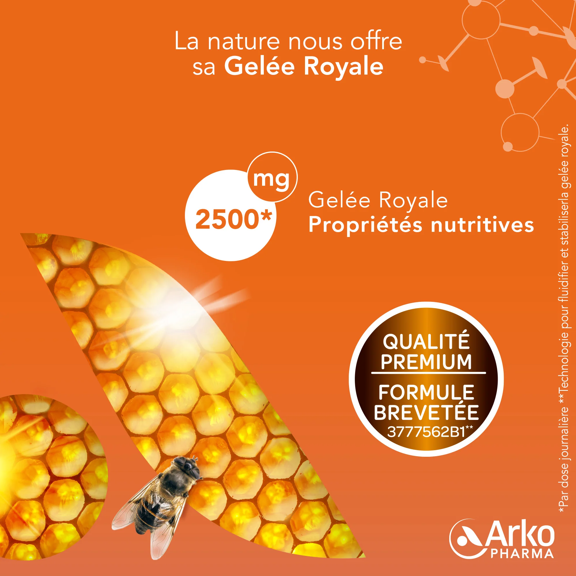 Arkoroyal® Gelée Royale BIO 2500 mg - Image 4