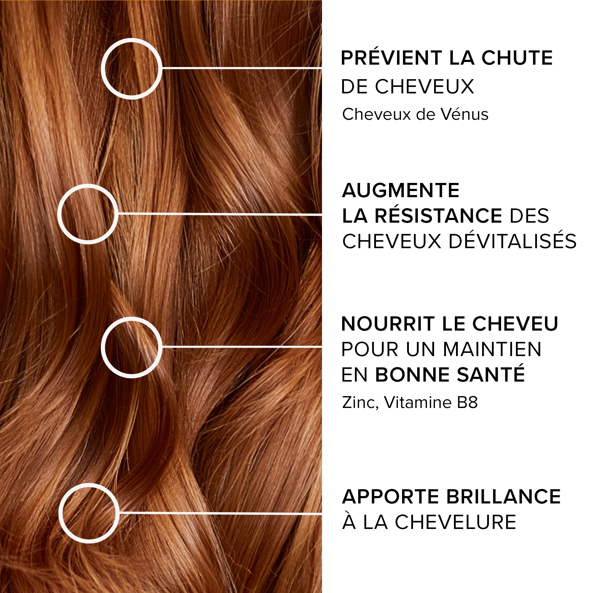 Forcapil® Anti-chute - 1 mois offert - Image 4