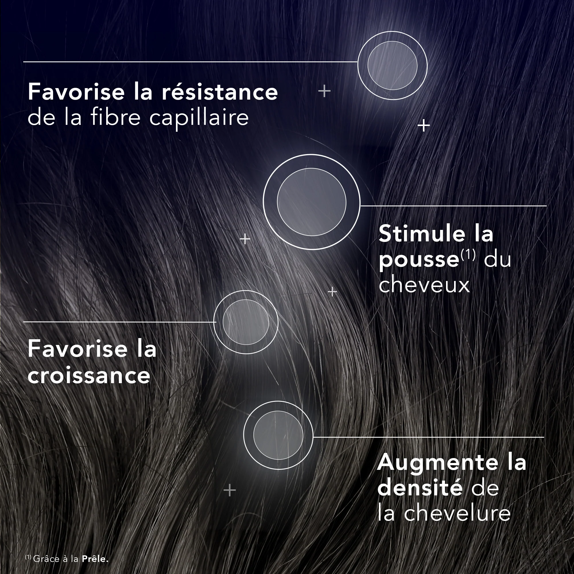 Forcapil® Elixir Croissance - Image 6
