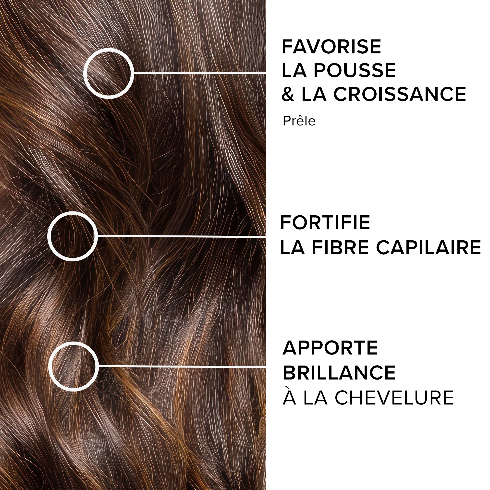 Forcapil® Gummies Croissance - Image 4