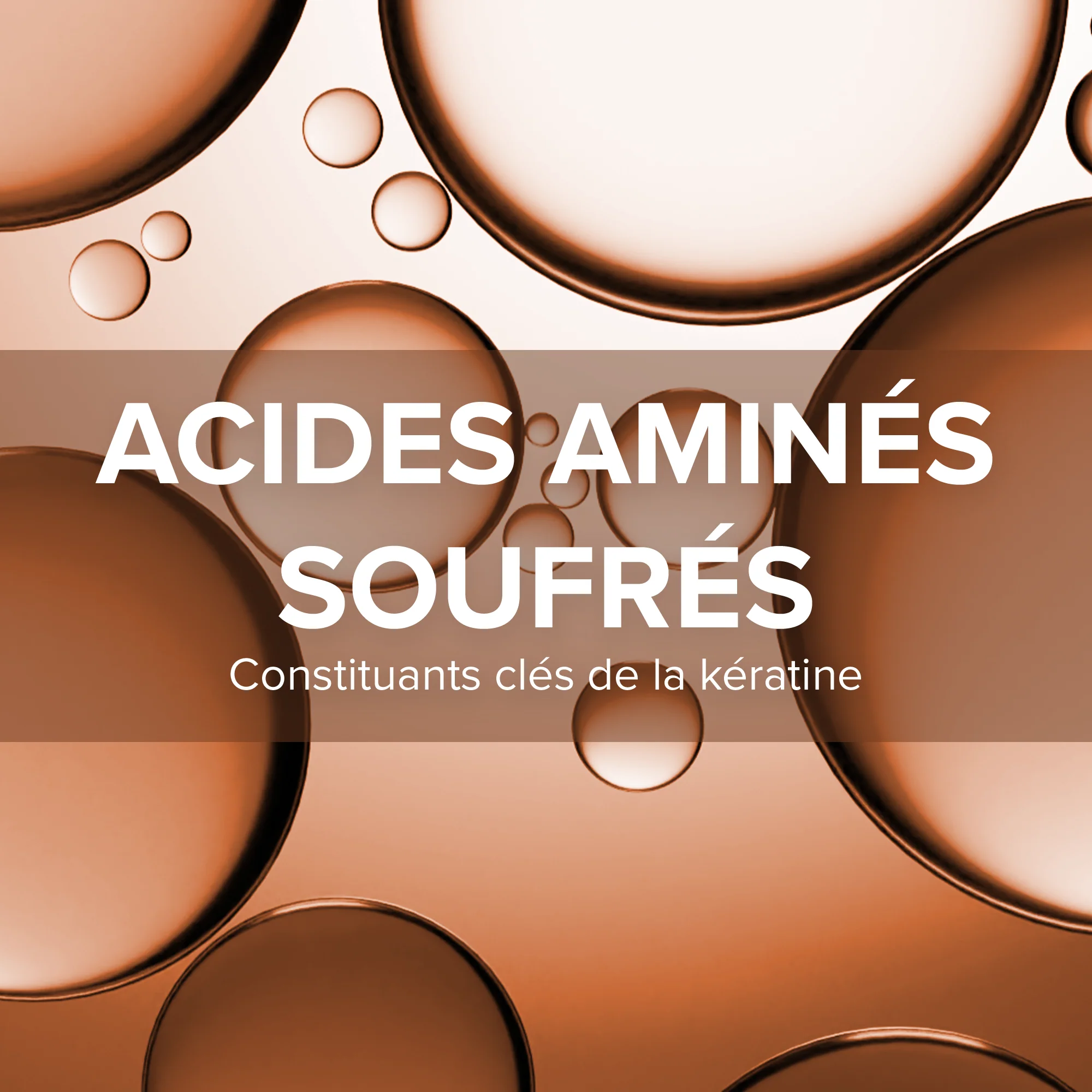 Forcapil® Fortifiant Kératine + - Image 4