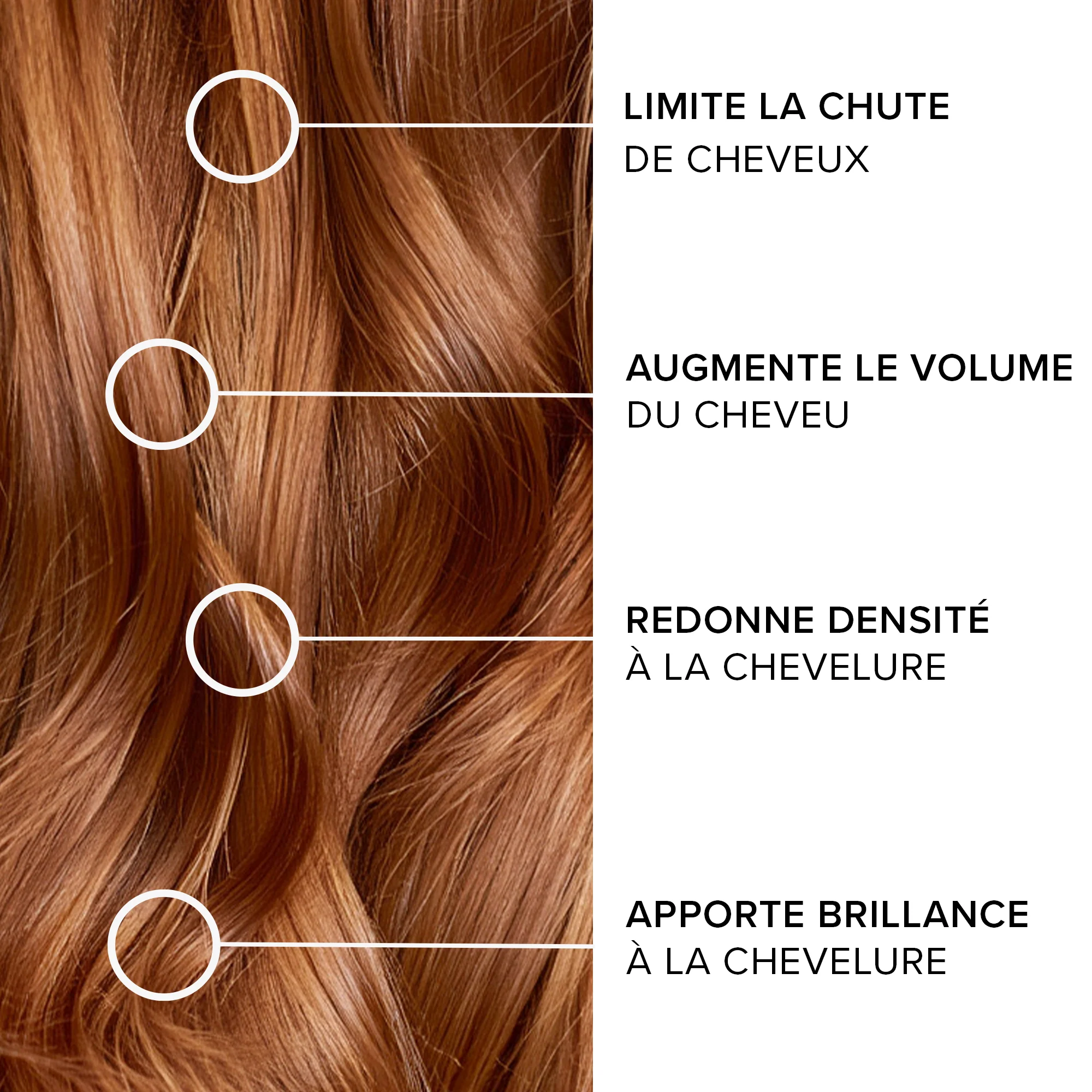 Forcapil® Shampoing Anti-Chute - Image 4